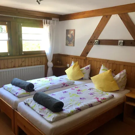 Apartment Bergwaldhof Schonach Schonach im Schwarzwald
