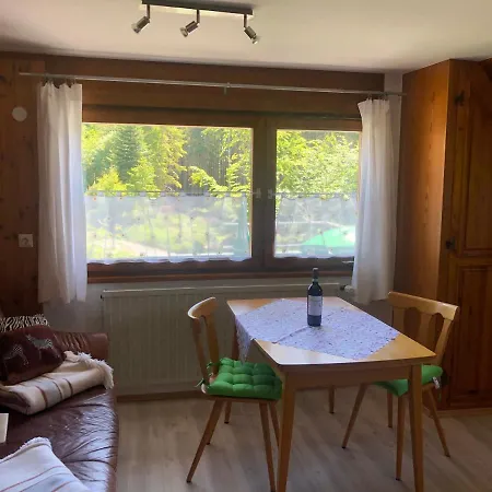 Bergwaldhof Schonach