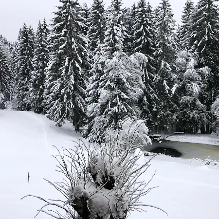 Bergwaldhof Schonach * ショナッハ