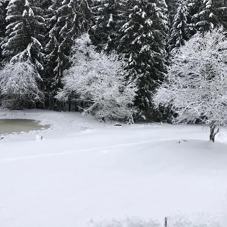 Bergwaldhof Schonach Lägenhet