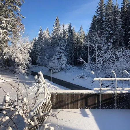 Bergwaldhof Schonach Lägenhet Schonach im Schwarzwald
