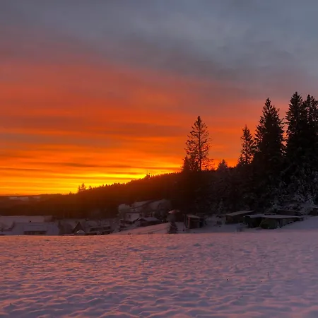 Bergwaldhof Schonach Appartamento Schonach im Schwarzwald