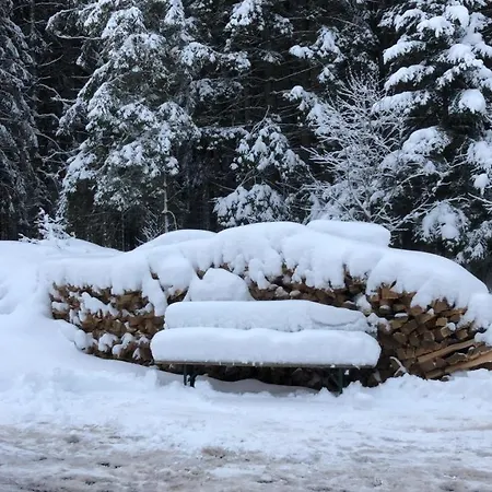 アパート Bergwaldhof Schonach