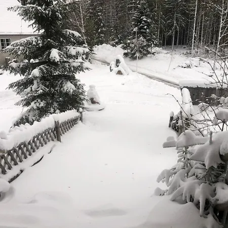 Bergwaldhof Schonach アパート ショナッハ