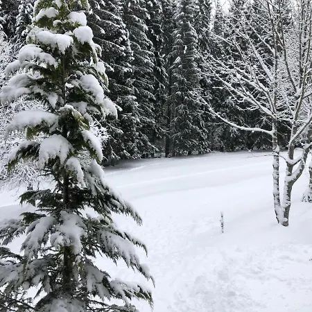 Bergwaldhof Schonach