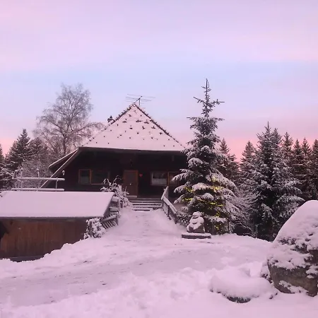 Bergwaldhof Schonach アパート *