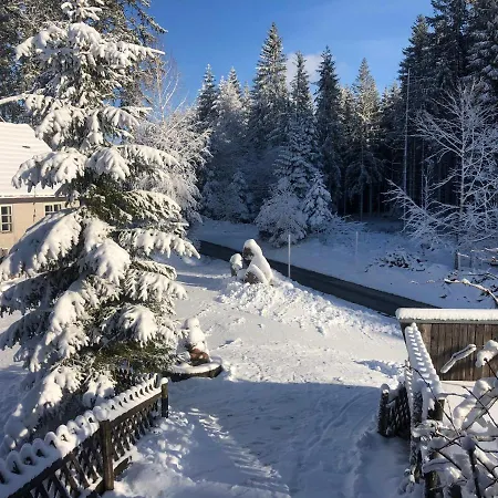 Bergwaldhof Schonach アパート ショナッハ