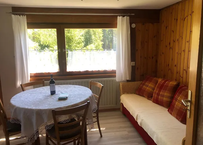 Bergwaldhof Schonach 公寓