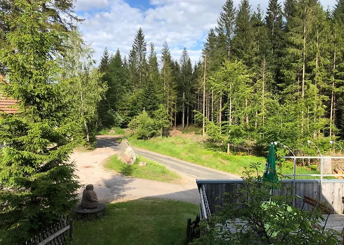 公寓 Bergwaldhof Schonach