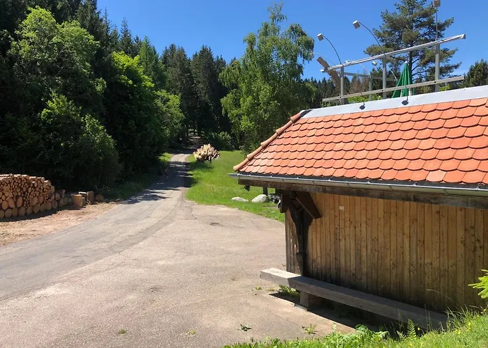 Appartement Bergwaldhof Schonach Schonach im Schwarzwald